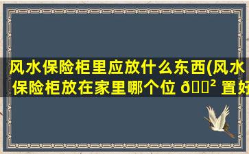 风水保险柜里应放什么东西(风水保险柜放在家里哪个位 🌲 置好)